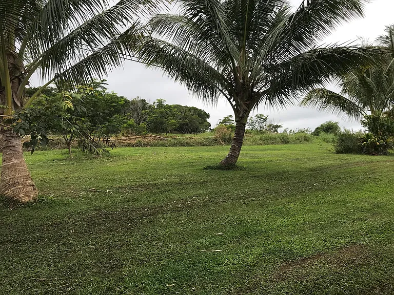 6300 Hana Hwy — Photo 10
