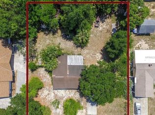 161 S Rhodes St, Mount Dora, FL 32757