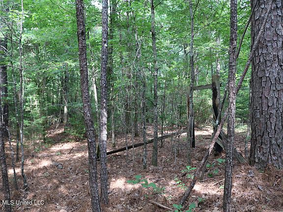 4th image of 2026 Stump Bridge Rd