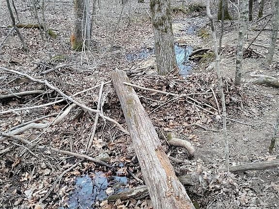 3rd image of Highway 49