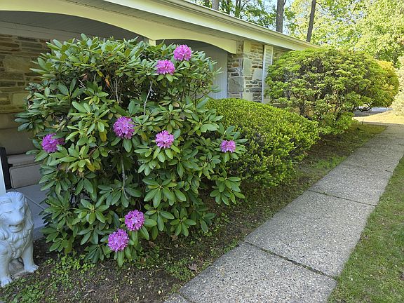 5th image of 3860 Brookdale Ave