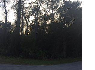 10520 S Riviera Dr, Homosassa, FL 34448