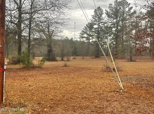 Owens Rd LOT 13, Terry, MS 39170