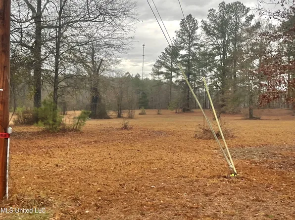 Owens Rd Lot 13, Terry, MS 39170