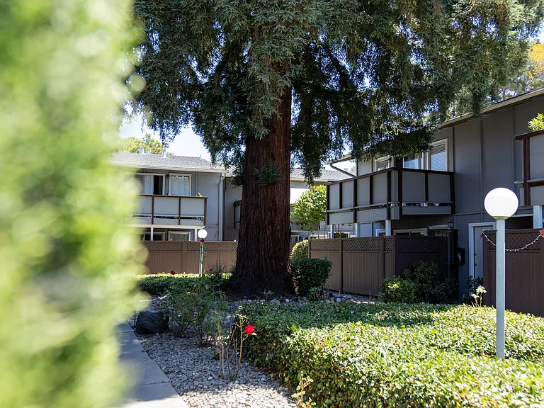 Colony Street Apts — Photo 9
