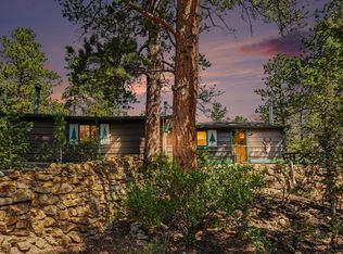 360 Ski Rd E, Allenspark, CO 80510