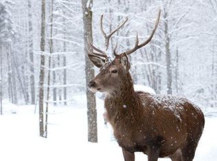 Spring Ct, Bushkill, PA 18324