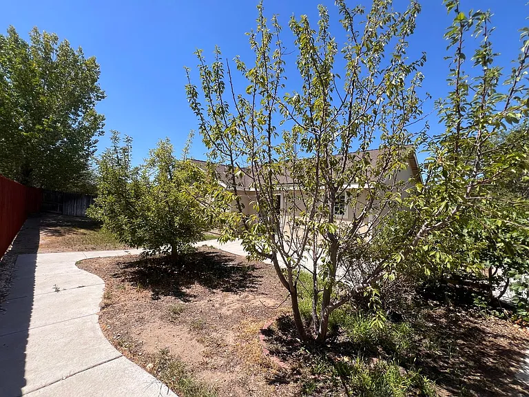 2628 Elizabeth Pkwy — Photo 34