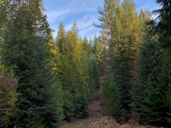 Lots 2 & 3 Flat Creek Rd, Saint Maries, ID 83861