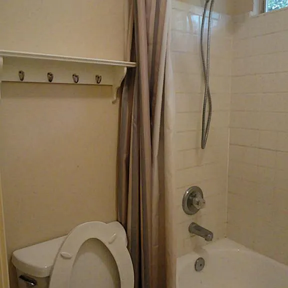 231 Needleleaf Ln — Photo 21