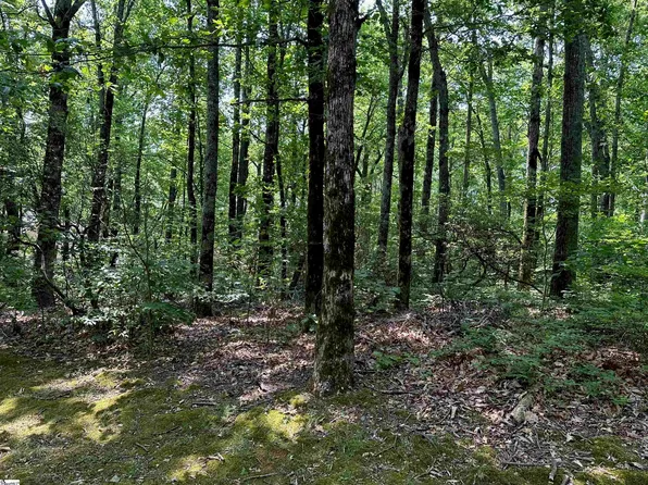 0 Lacey Fern Way, Landrum, SC 29356