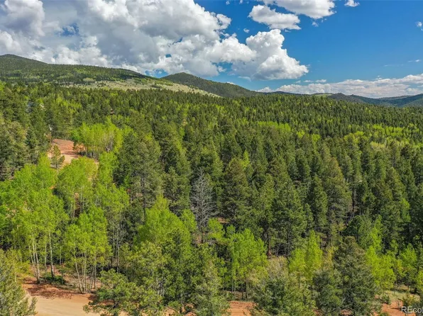 560 Princess Road LOT 77, Cripple Creek, CO 80813