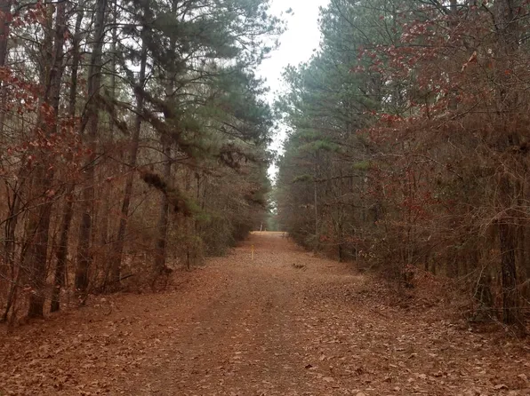 Shiloh Rd, Bienville, LA 71008