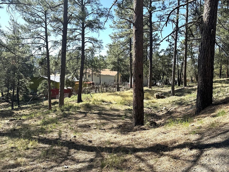 2nd image of 157 Yellow Pine Rd