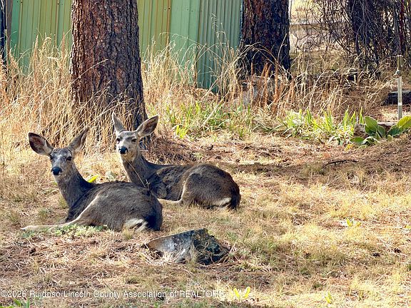 2nd image of 403 Grove Dr