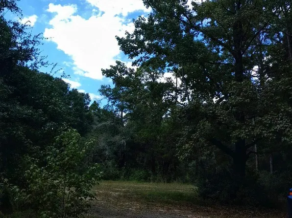 Hamilton Bridge Rd, Milton, FL 32570