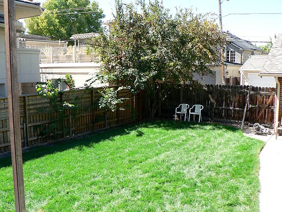 Back yard