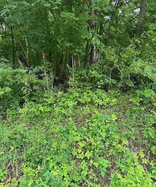 2nd image of 18905 Sycamore Rd