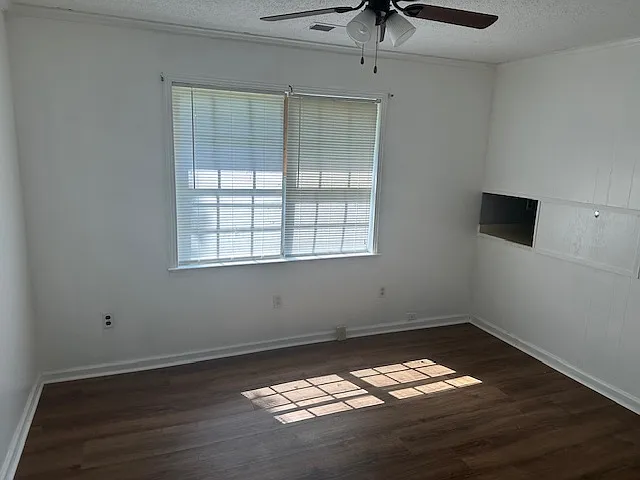 307 Pinewood St #1 — Photo 5