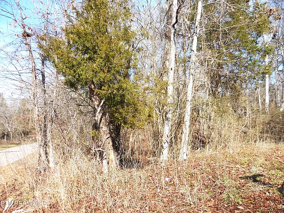 5th image of LOT 1 Little Dogwood Rd