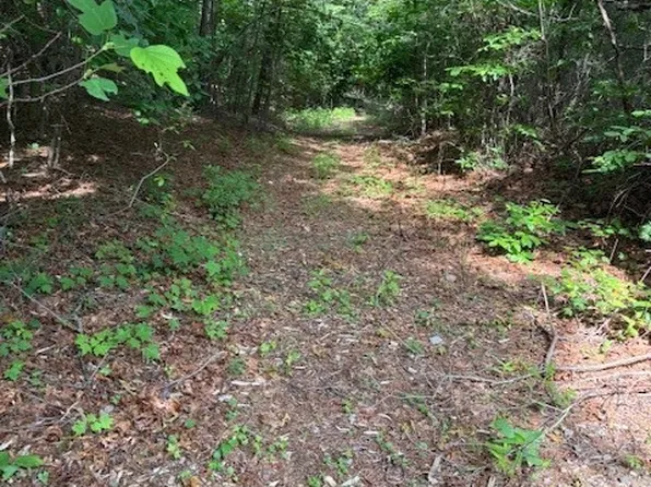 79 Elk Horn Road, Ferguson, NC 28624