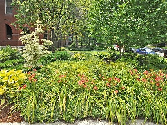 Front garden