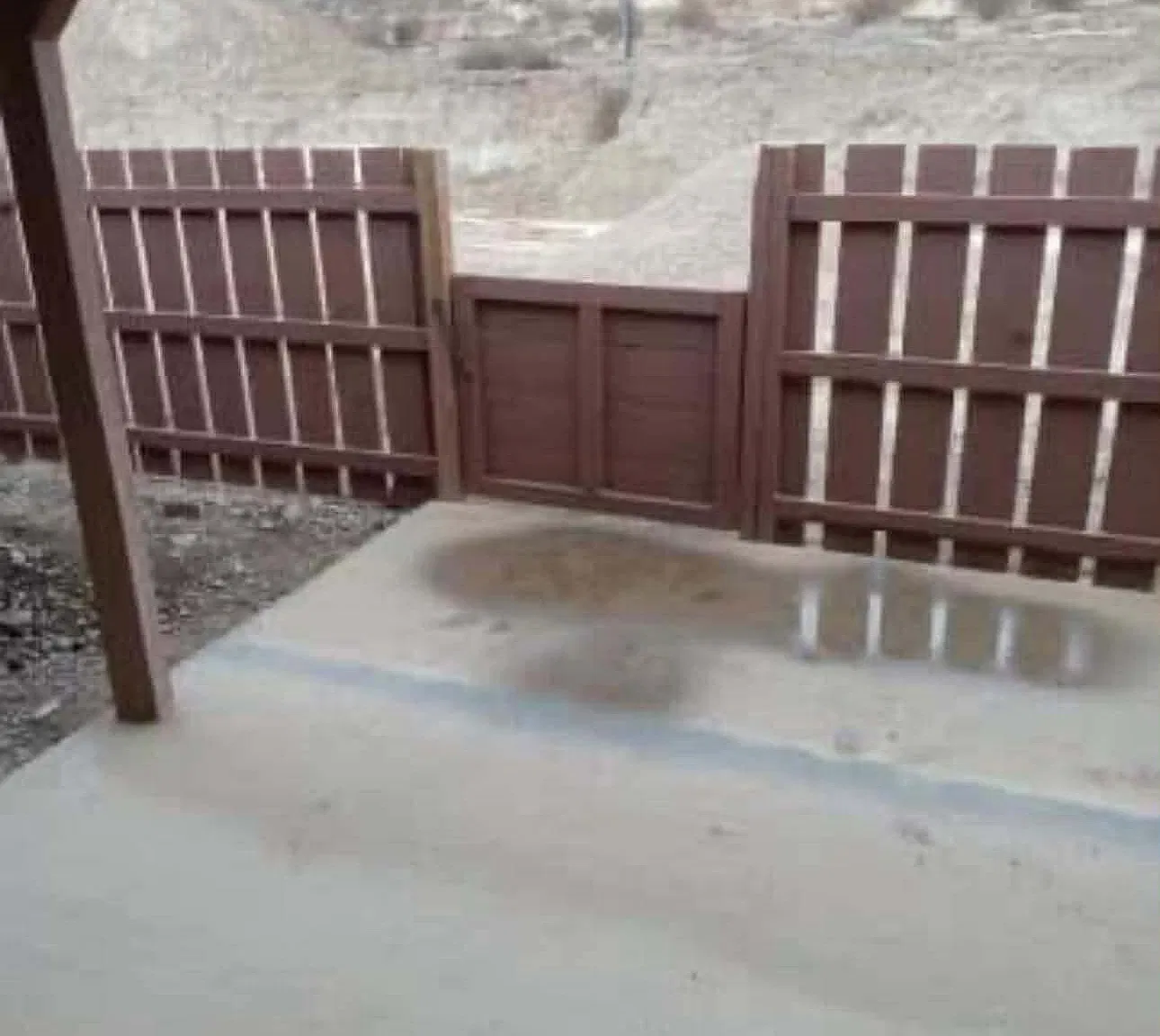 1 bed, $1,250 — Photo 3