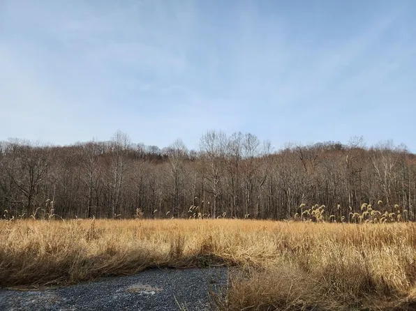 428 Pine Spur Ln, Ararat, VA 24053