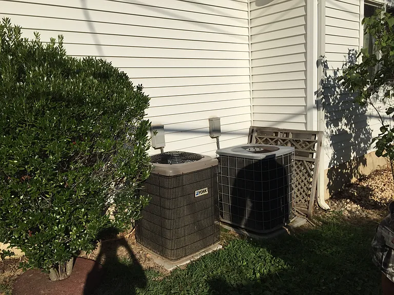 25 Plumtree Rd #1 — Photo 9