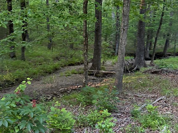 2nd image of 0 Robinson Rd