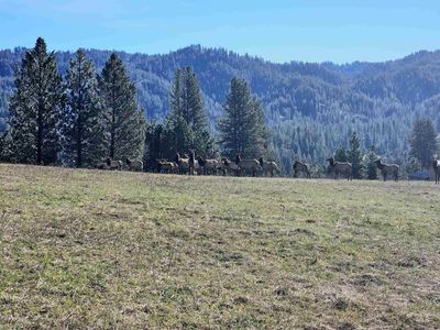 33 Scriver Woods Rd, Garden Valley, ID, 83622