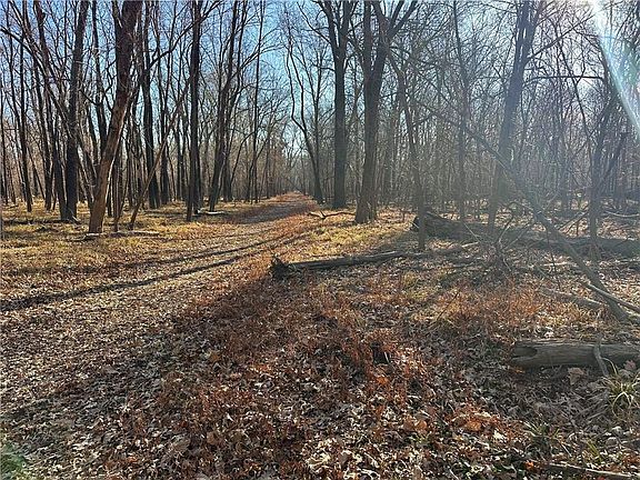 5th image of 0 Old River Rd