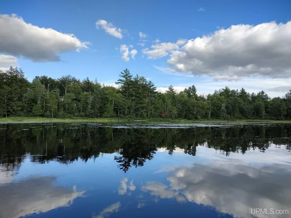 6254 N Bambi Land Rd, Mercer, WI 54547