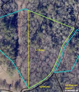 Township Road 7 St #7-ADA, Blue Ridge, GA, 30513