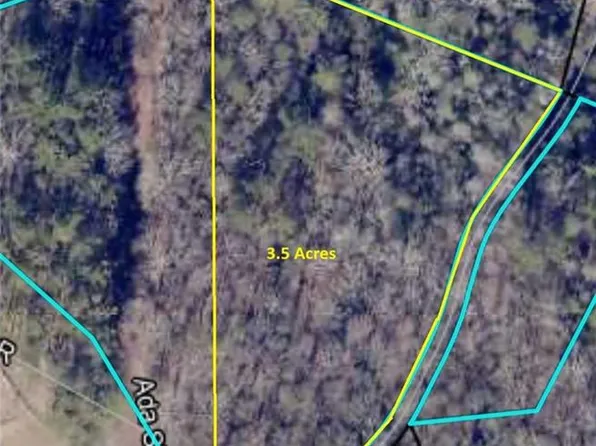 Township Road 7 St #7-ADA, Blue Ridge, GA 30513