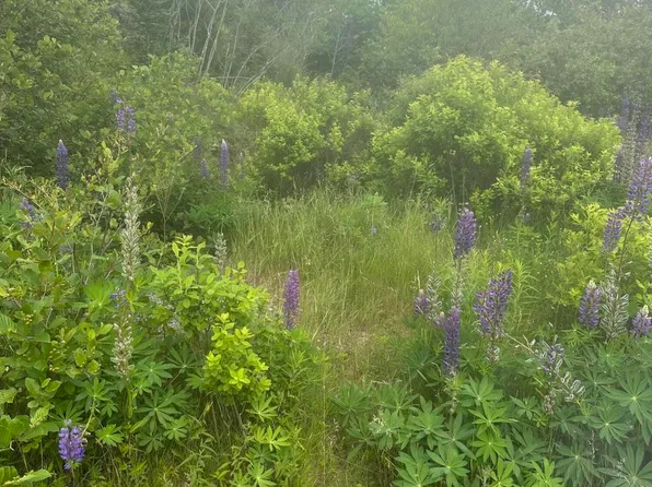 16 Smalls Point Road, Machiasport, ME 04655