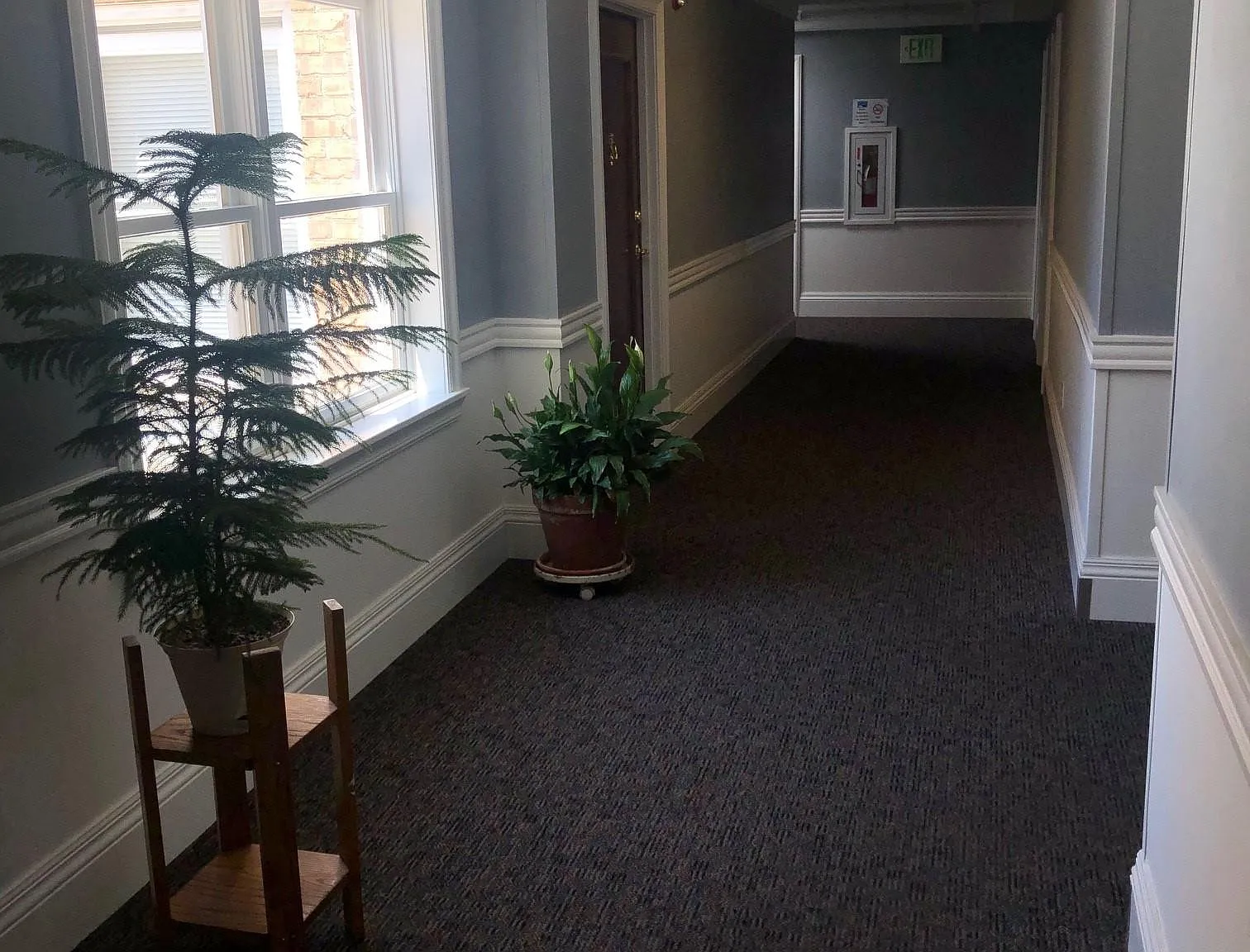 1 bed, 500 sqft, $920 — Photo 3