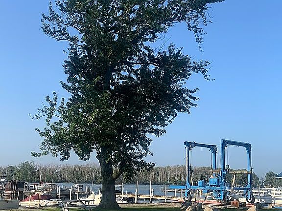 Dock your boat!