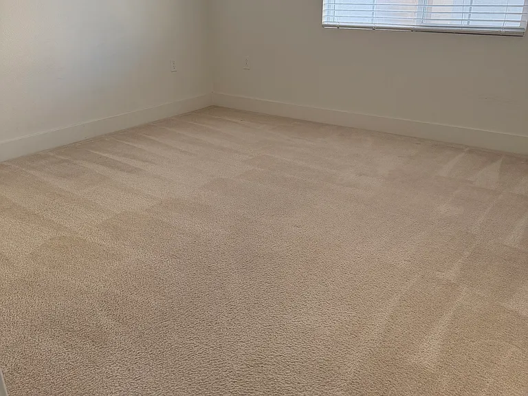 37533 Willow St #2 — Photo 13