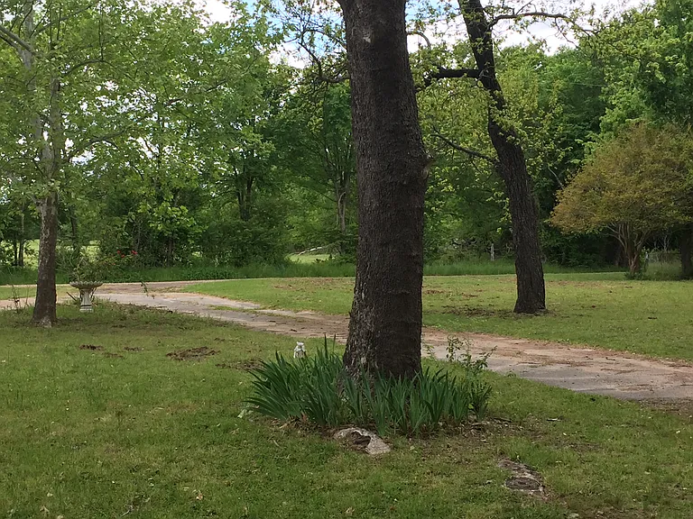 633 County Road 1198 — Photo 2