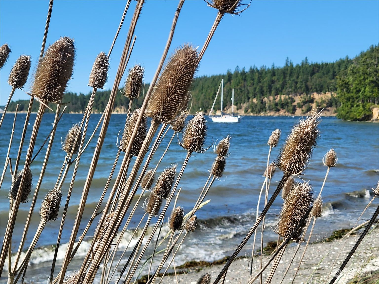 231 Cedar Lane, Port Hadlock, WA 98339 Zillow