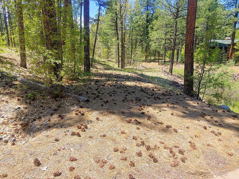 2nd image of 2741 W Snowberry Loop