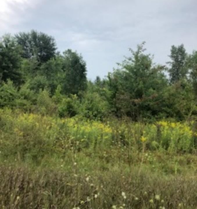 2nd image of 0 W Vienna Rd