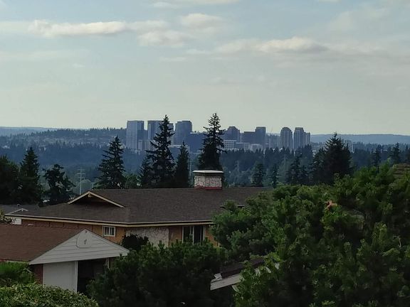 Bellevue downtown view