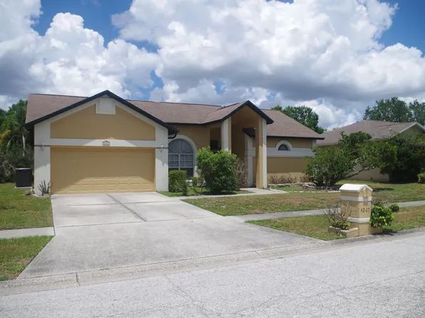 4207 Elba Pl, Valrico, FL 33596