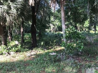 340 Braddock Ave, Osteen, FL 32764