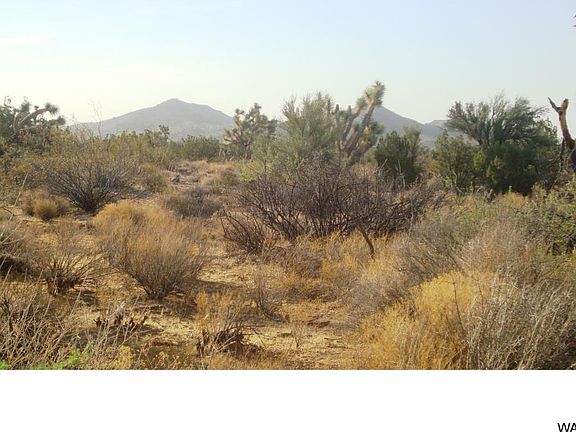 3rd image of 48 Palo Verde Dr Lot 48