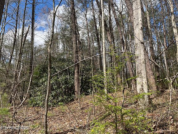 3rd image of 1.5 Ac Hwy #68
