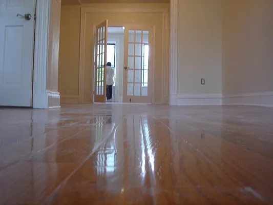 Rented by BLS Realty | media 14