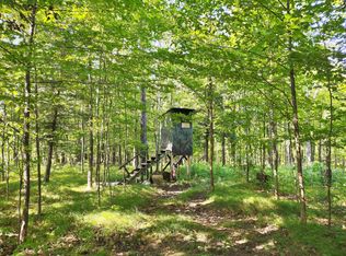 Stelling Rd, Tomahawk, WI 54487